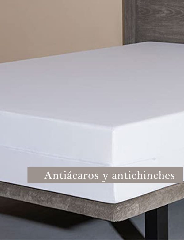 Funda de colchón antiácaros y antichinches